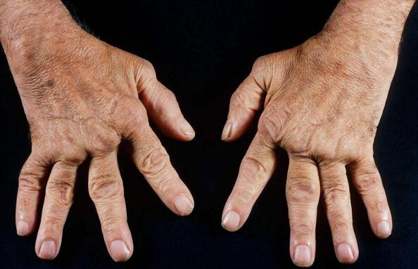 ŮʪԹؽ׷3050