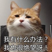 <b>!ڱĩ!ѧҽ</b>